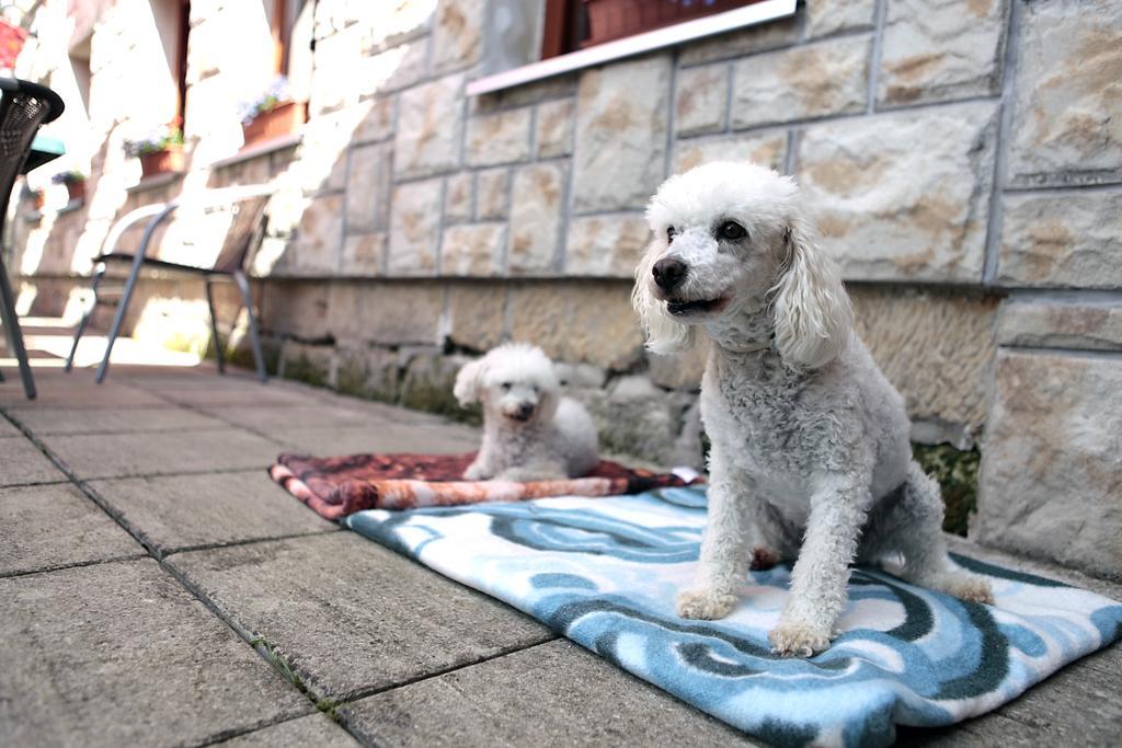 Pension U Stehliku Ruzova Buitenkant foto